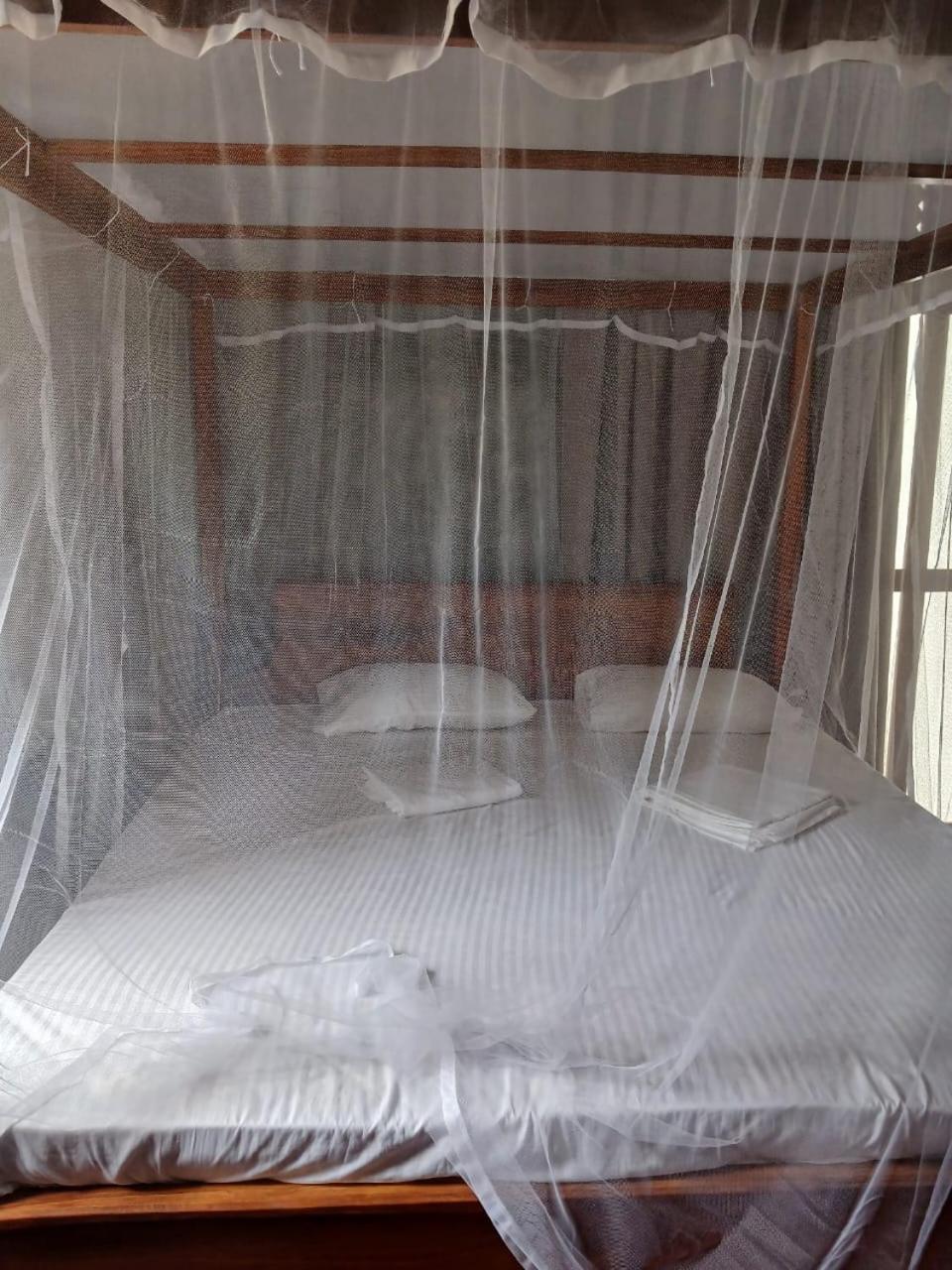 ディックウェラ Ima House Bed & Breakfast エクステリア 写真